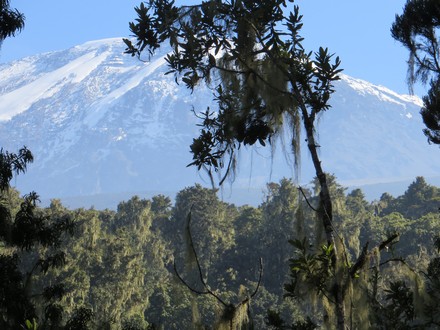 Kilimanjaro Safari Expedition